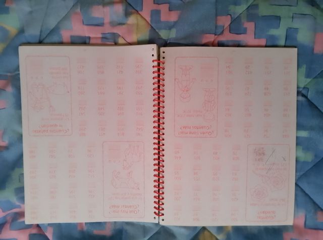 Cuaderno de cuentas