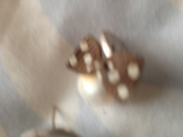 Pendientes plata perla