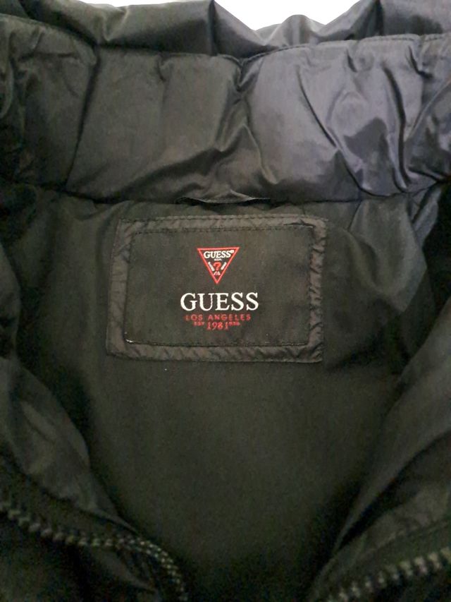 Giacca guess