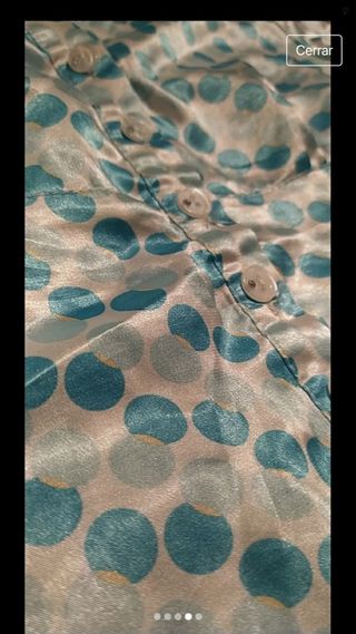 Camisa transparente 26