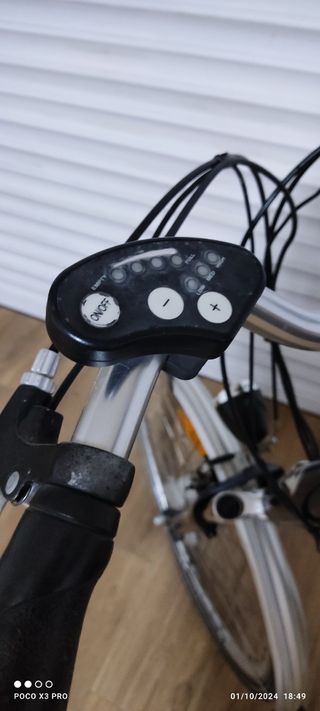 Bicicleta electrica paseo