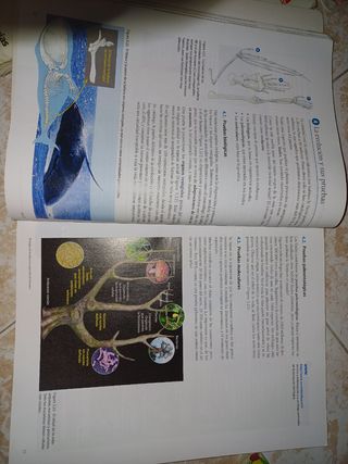 Libro de ciencias para el mundo contemporáneo 