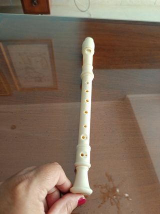 Flauta de plástico 