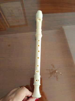 Flauta de plástico 