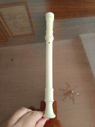 Flauta de plástico 