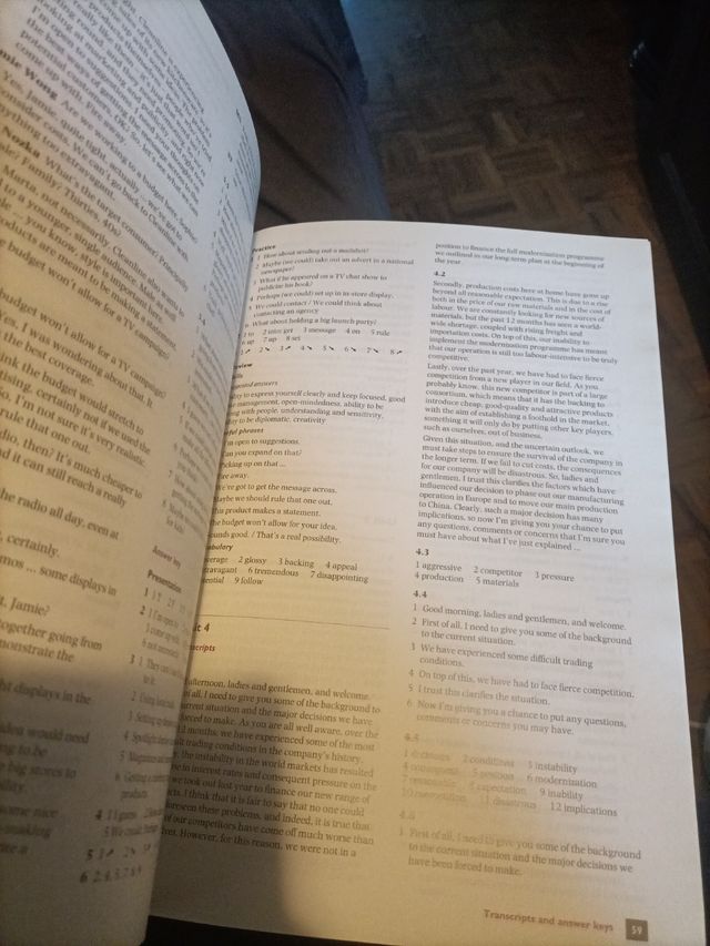 Meetings (Delta Business Communication Skills)