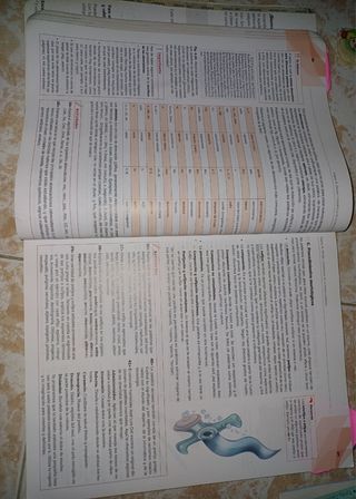 Libro de Lengua 