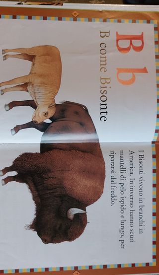 Libro bambini