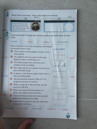 Libro storyfun 6 de primaria