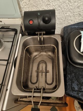 Freidora profesional