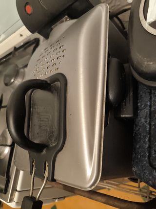 Freidora profesional