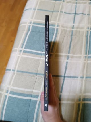 Batman ¿Qué le sucedió al cruzado?