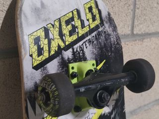 Skate Oxelo 