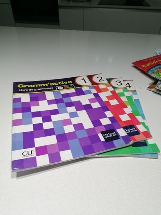 FRANCES 1ºESO CE GRAMATICA