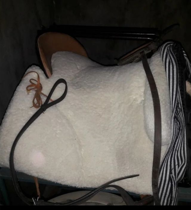 Monturas de caballos