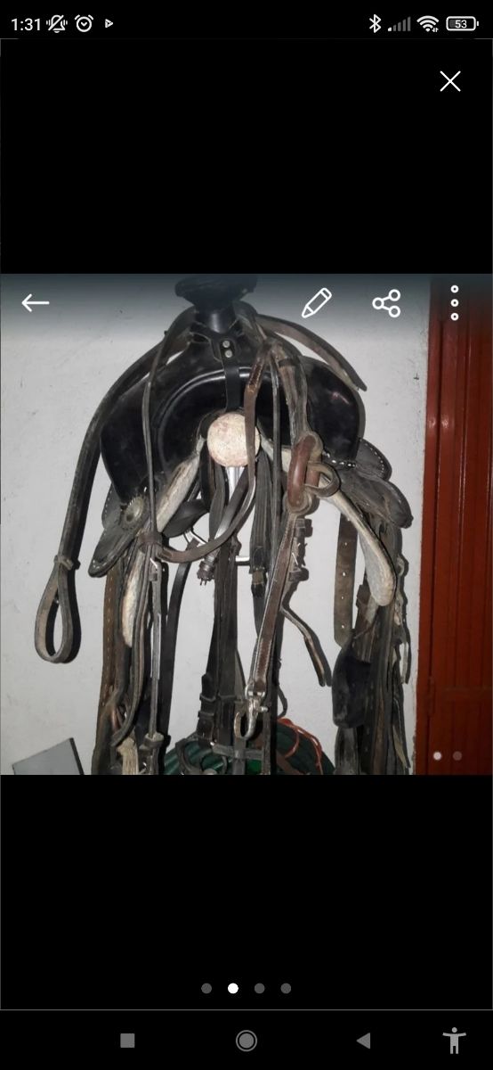 Monturas de caballos