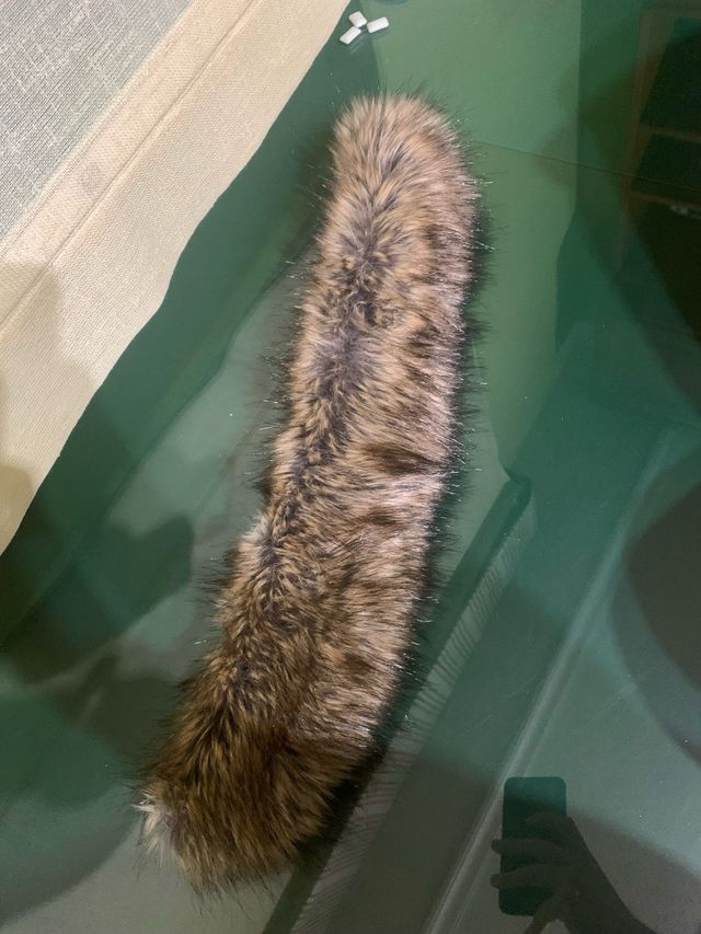 The north face mc mourdo