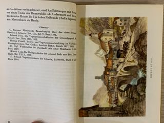 Guida turistica valico Furka 1951