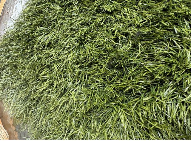 Cesped artificial recoclado