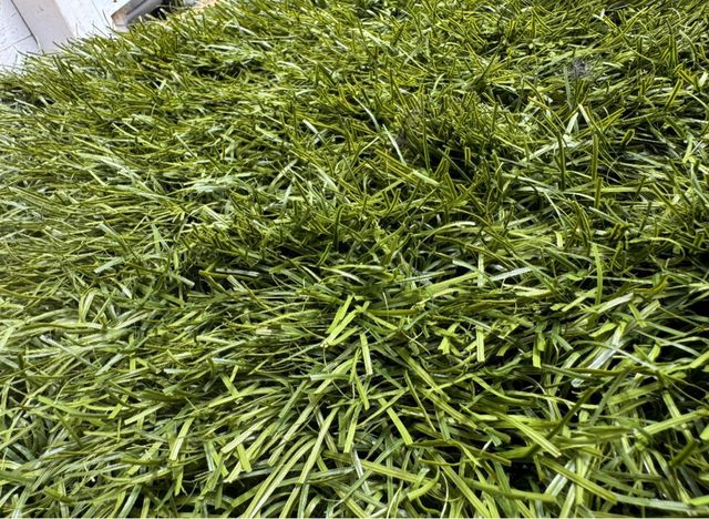 Cesped artificial recoclado