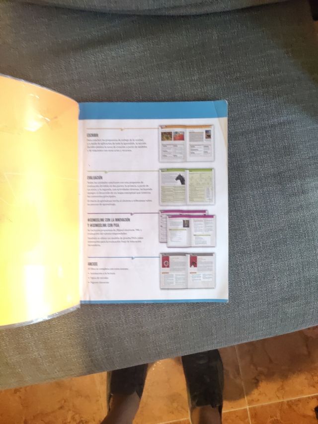 Livro de literatura segundo o ESO