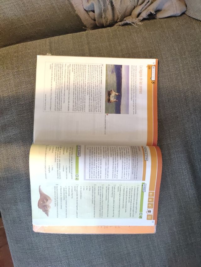 Livro de literatura segundo o ESO