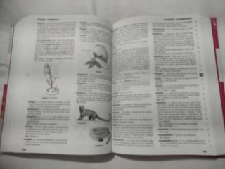 NUEVO DICCIONARIO ESCOLAR DE LA LENGUA ESPAÑOLA ( DE 3 A 6 Primaria) SANTILLANA (Spanish Edition)