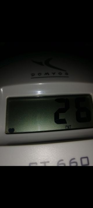 Step Decathlon Domyos