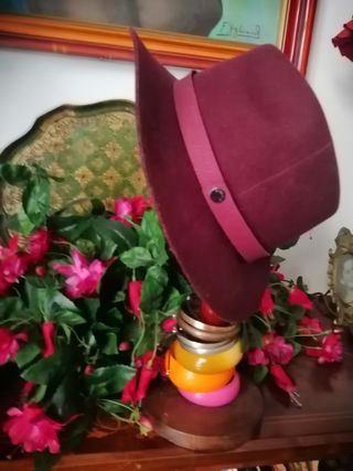 Sombrero de invierno