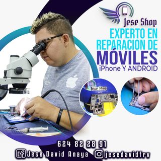 Reparacion Movil Toledo Santa Barbara