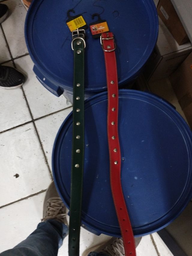 N.2 collari per cani