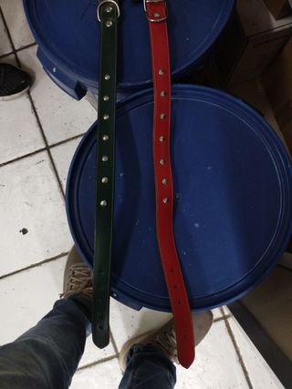 N.2 collari per cani