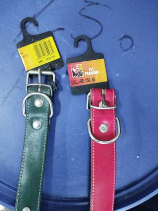 N.2 collari per cani