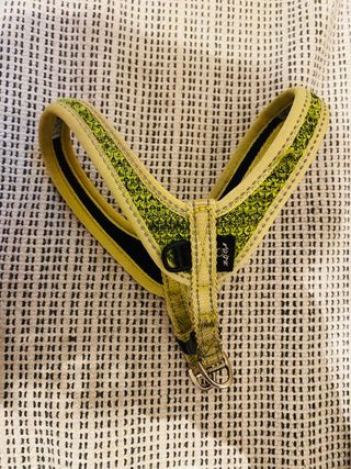 Arnes XS animales (perro)