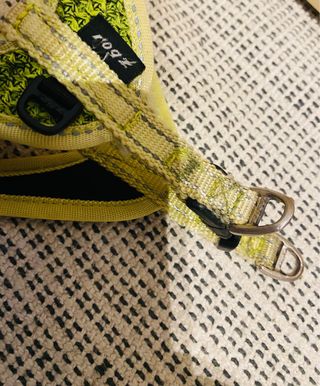 Arnes XS animales (perro)