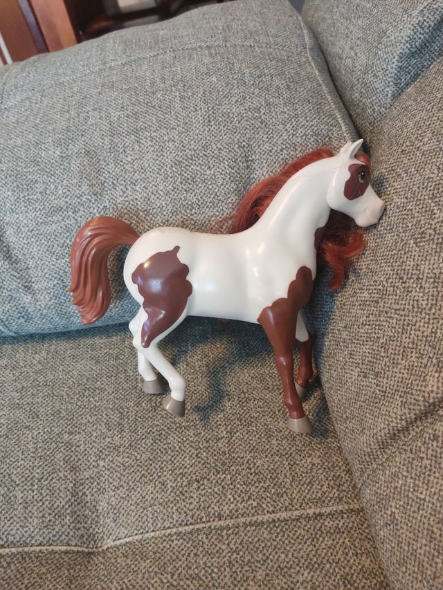 Boomerang Rescue Ranch Spirit