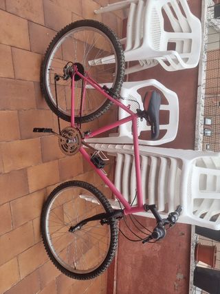 Bicicleta