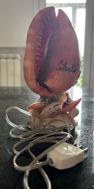 Lampada del Cilento fatta a mano in conchiglie 
