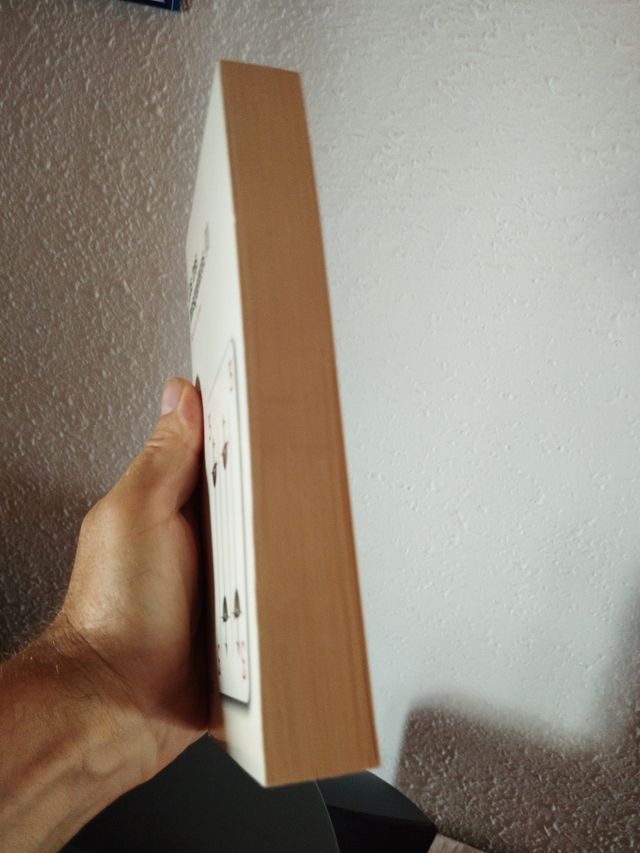 LOS TRES MOSQUETEROS