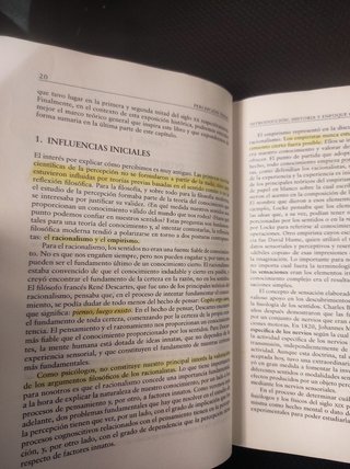 Percepción visual