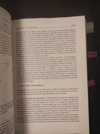 Percepción visual