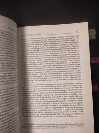 Percepción visual