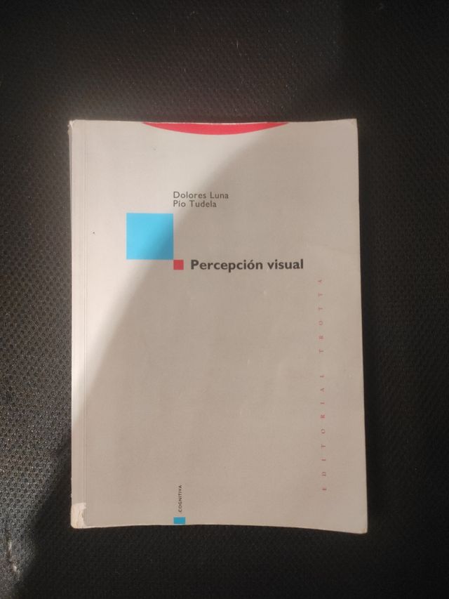 Percepción visual