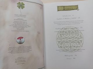 EL LIBRO DE LOS DUENDES. EDITORIAL MONTENA 1999