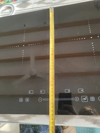 Placa inducción 