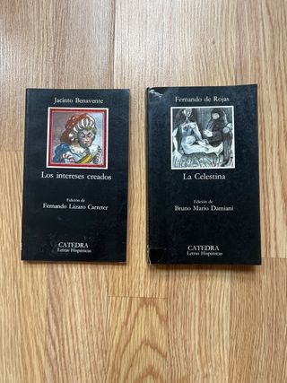 Lote 10 libros ediciones catedra