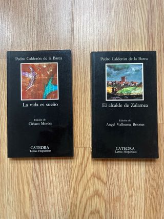 Lote 10 libros ediciones catedra