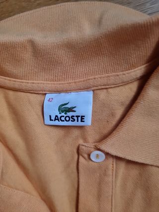 Polo lacoste talla 42