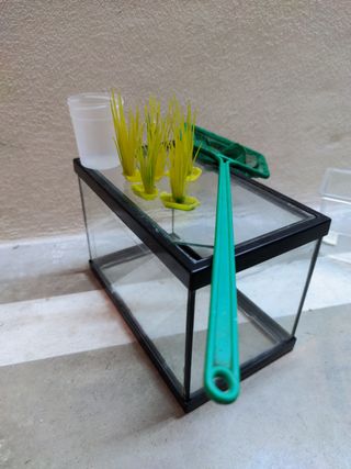 Mini acuario con accesorios y libro