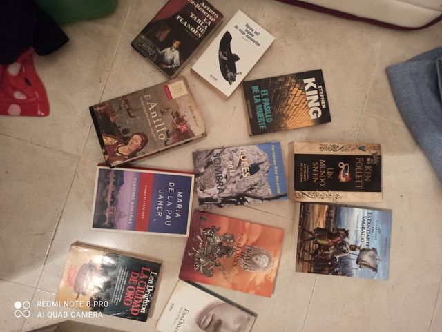 Lote de libros 📚